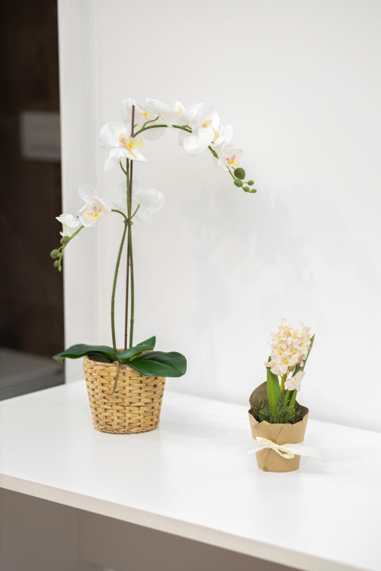 Suebi Rooms And Appartament Termoli Εξωτερικό φωτογραφία